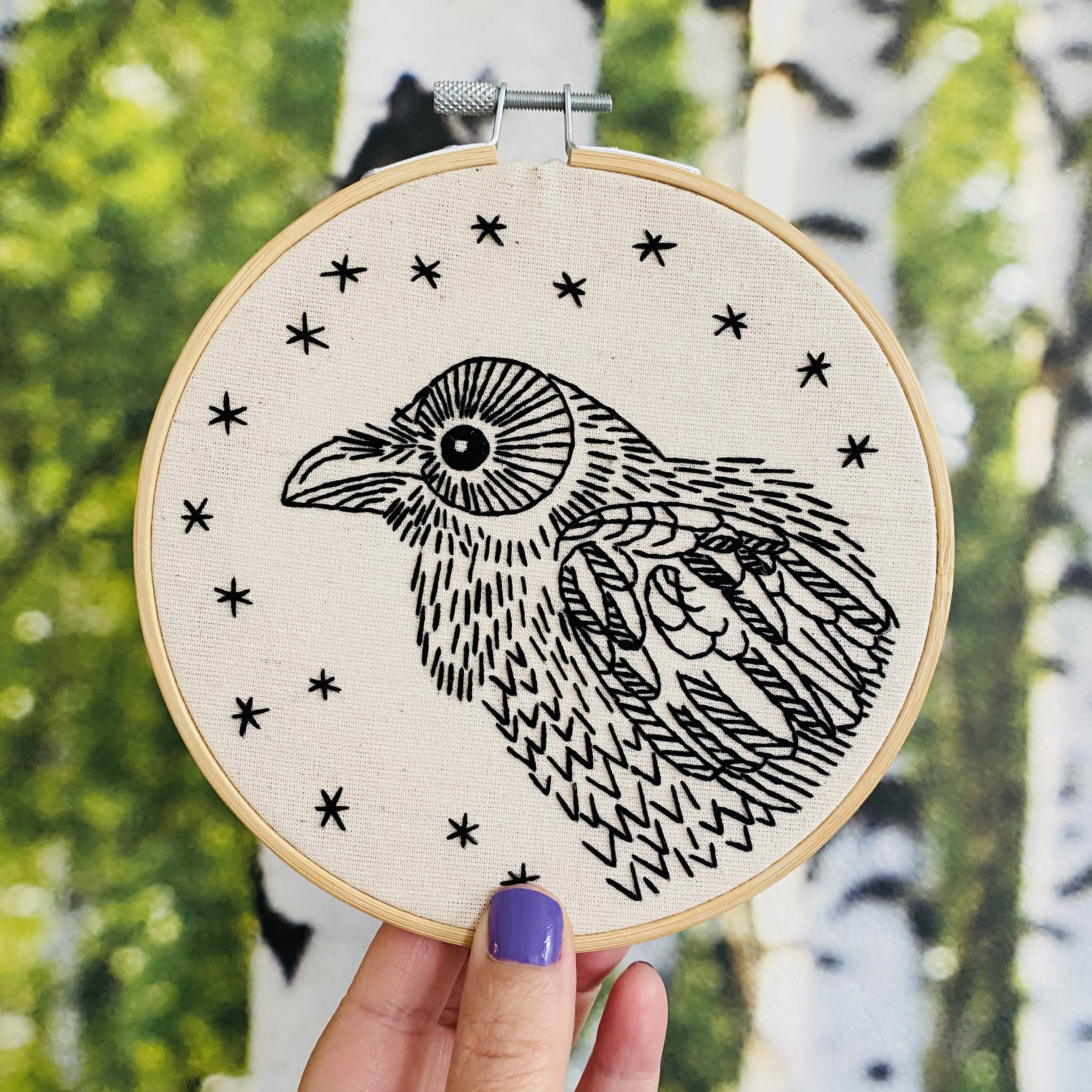 Dolhan First Time Beginner Embroidery Kit Raven Nevermore